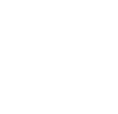 Brandon Sztorc logo
